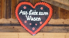 2012-09 Cannstatter Wasen (1)
